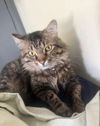 Benny