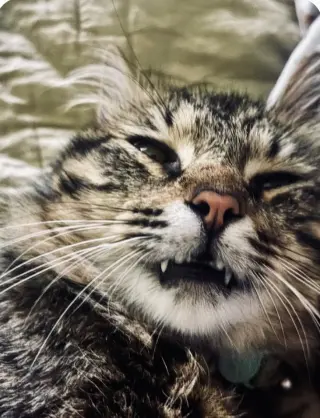 Benny