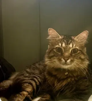 Benny