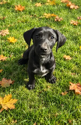 Tina