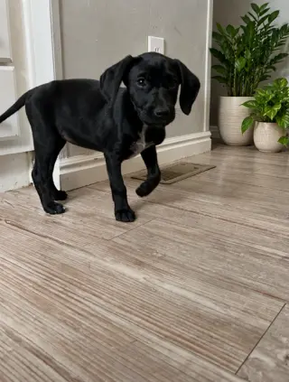 Tina