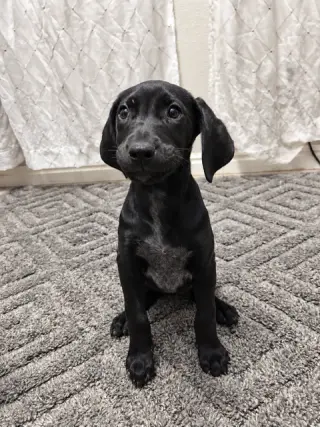 Tina