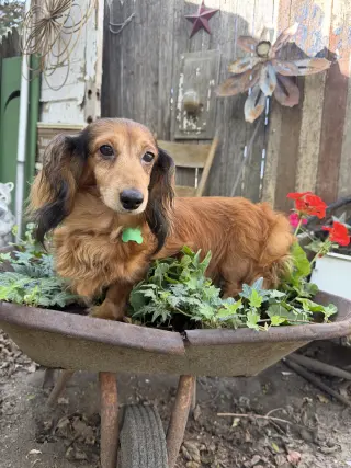 Winnie