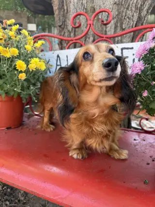 Winnie