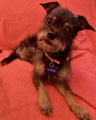 Rosie