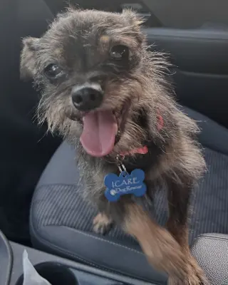 Rosie
