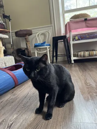 Bruce
