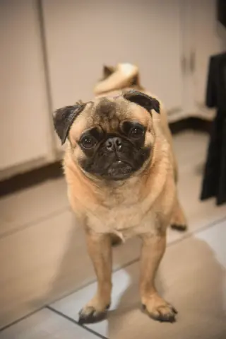 Jack