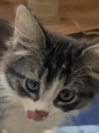 Monroe