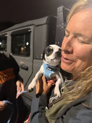 Alfie