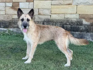 Sunnie