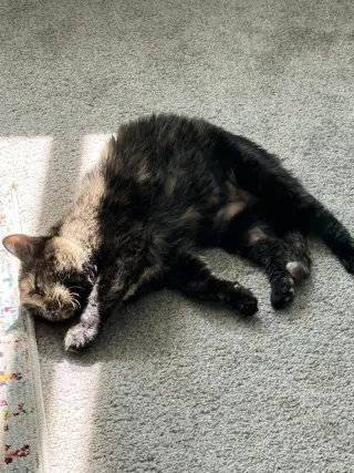 Gaia (bonded to Rhea)