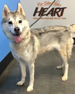Juno
