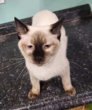 Benny