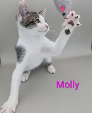 Molly 3.30.26