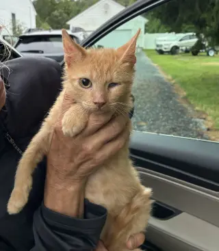 Sammy