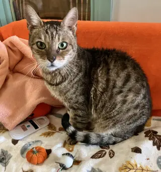 Vito Corleone