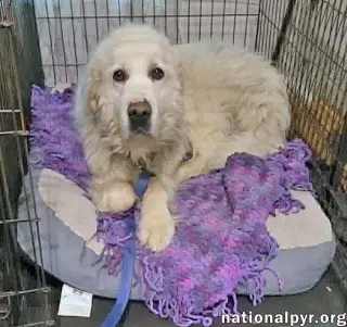 Coral in SC - Sweet & Gentle Soul!