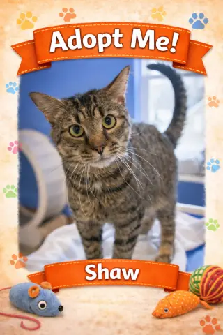 Shaw: Deaf (FCID# 9/10/2025 - 3) C