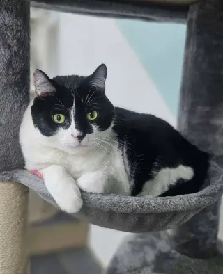 Rio