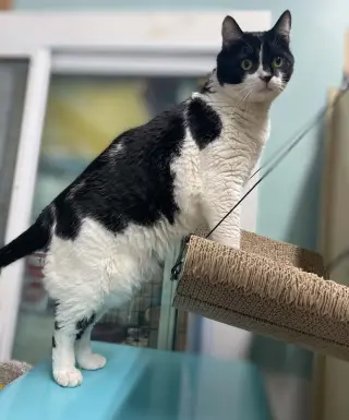 Rio