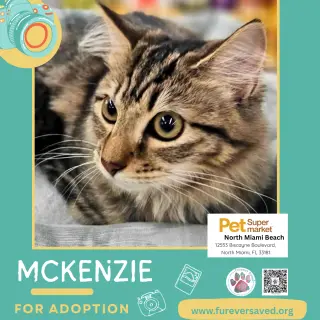 McKenzie