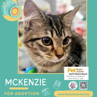 McKenzie