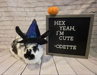Odette