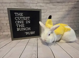 Ruby