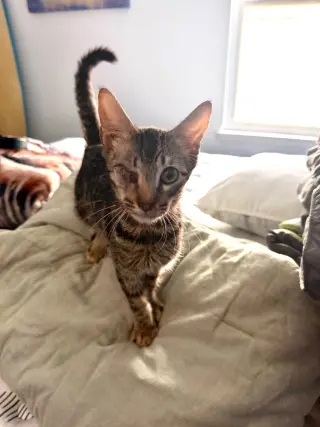 Leroy