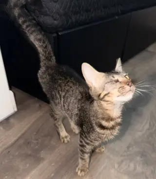 Leroy