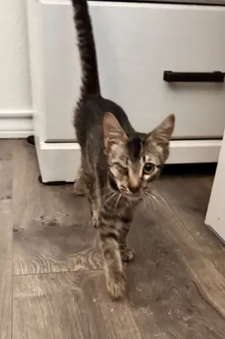 Leroy