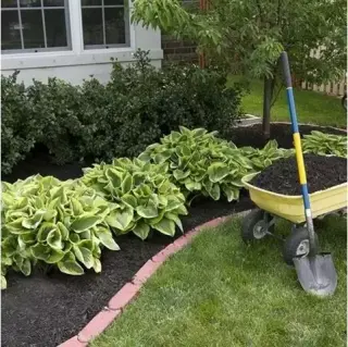 Servicio de Jardinería