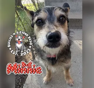 Minnie