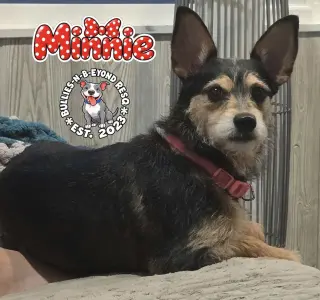 Minnie