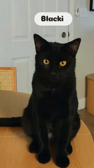 Blacki