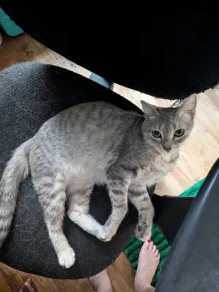 Twyla