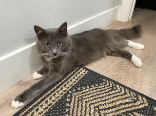 Munji