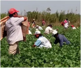 TODO TRABAJADOR HISPANO