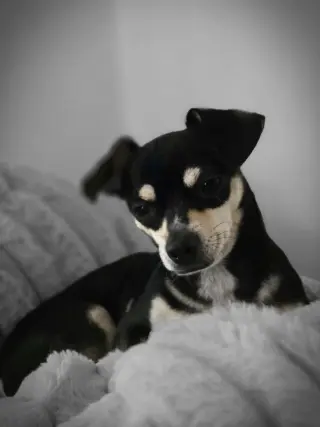 Gabby