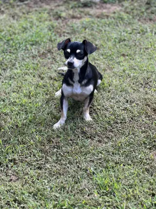Gabby
