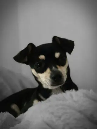 Gabby