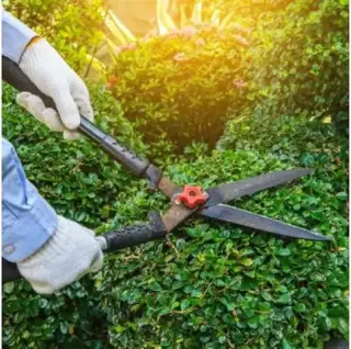 ¿NECESITA UN JARDINERO EN OC?