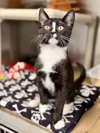Carlos