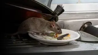 👉¡AQUÍ AYUDA A INQUILINOS!👈
