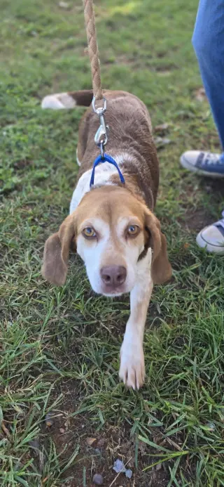 Plum - At shelter available 10/8