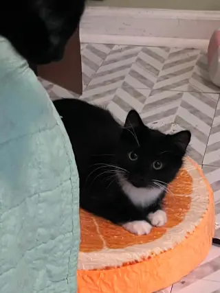 Margaret