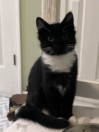 Margaret