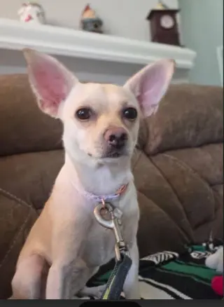 Hilda in TX