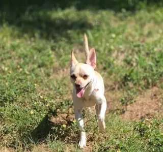 Hilda in TX